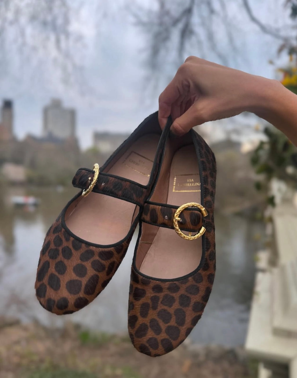 ANIMAL PRINT