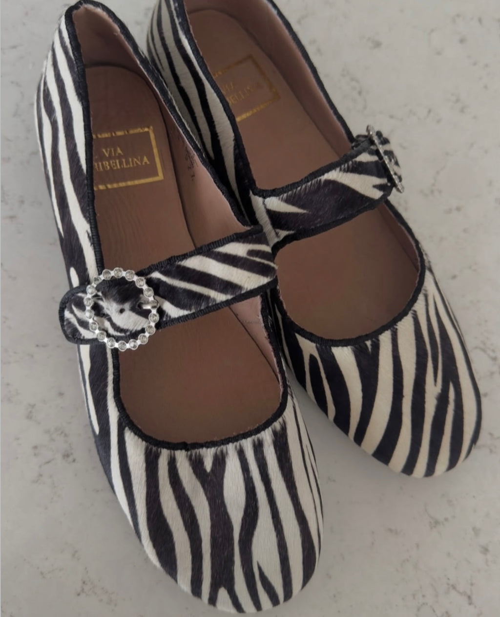 Zebra print